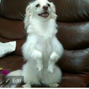 Meet your Posher, Glenda